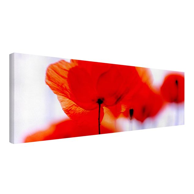 Leinwandbild - Magic Poppies - Panorama Quer
