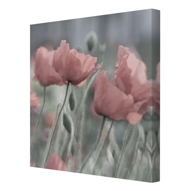Leinwandbild - Malerische Mohnblumen - Quadrat 1:1