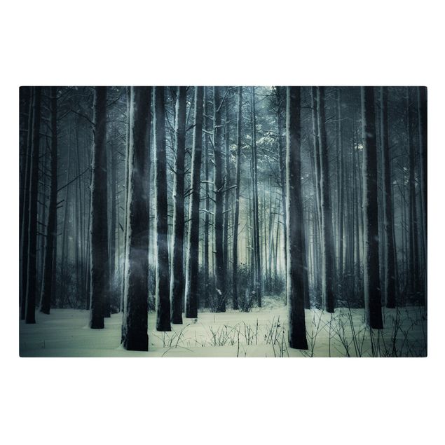 Leinwandbild - Mystischer Winterwald - Quer 3:2