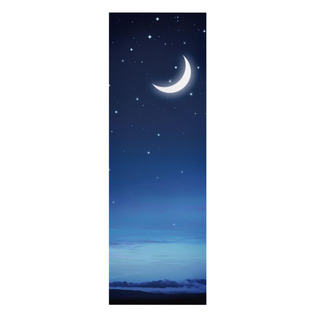 Leinwandbild - Nachtstimmung - Panorama Hoch