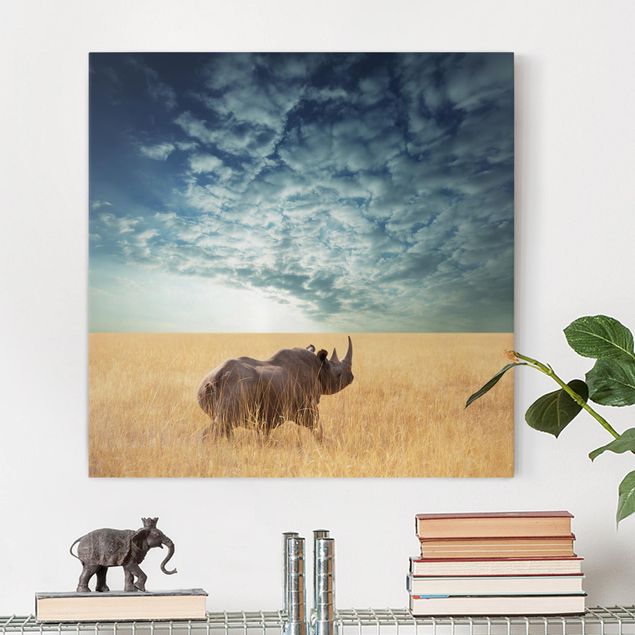 Leinwandbilder Naturmotive Nashorn in der Savanne