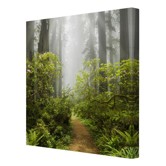 Leinwandbild - Nebliger Waldpfad - Quadrat 1:1