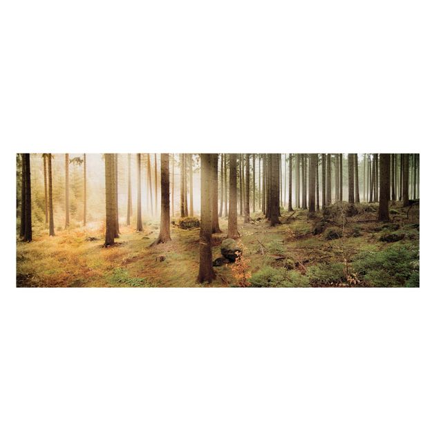 Leinwandbild - No.CA48 Morning Forest - Panorama Quer