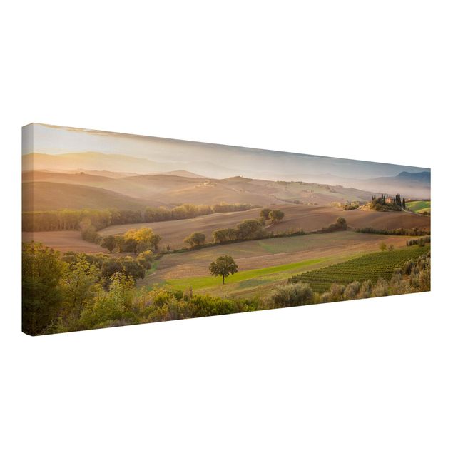 Leinwandbild - Olivenhain in der Toskana - Panorama Quer