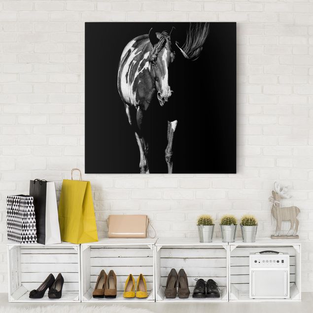 moderne Leinwandbilder Pferd vor Schwarz