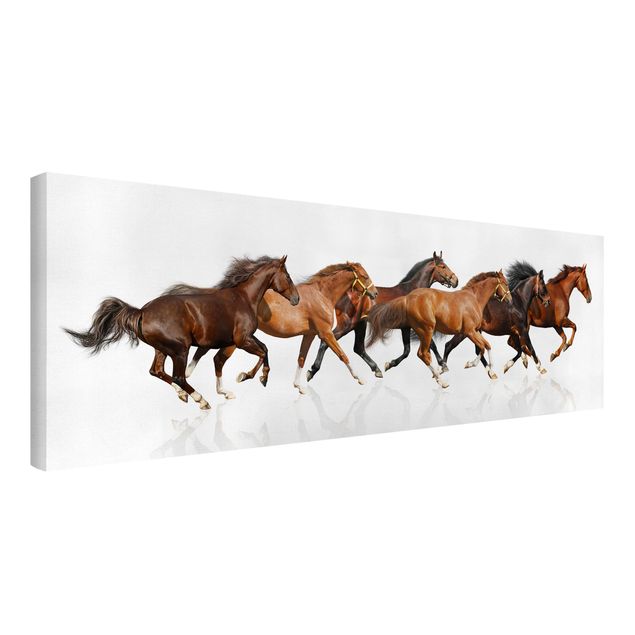 Leinwandbilder kaufen Pferdeherde