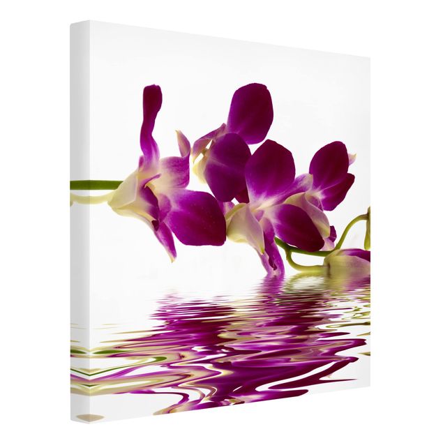 Leinwandbilder kaufen Pink Orchid Waters