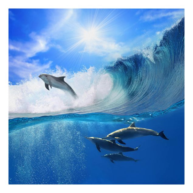 schöne Leinwandbilder Playing Dolphins