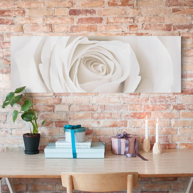 Blumenbilder auf Leinwand Pretty White Rose