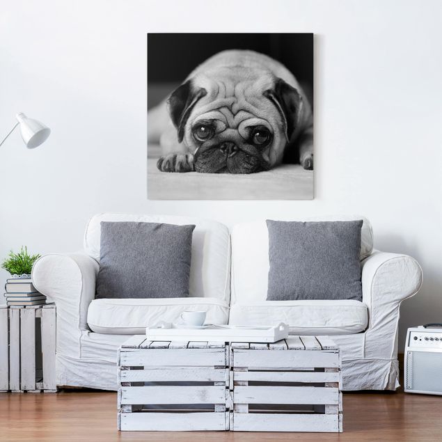 schwarz-weiß Bilder auf Leinwand Pug Loves You II