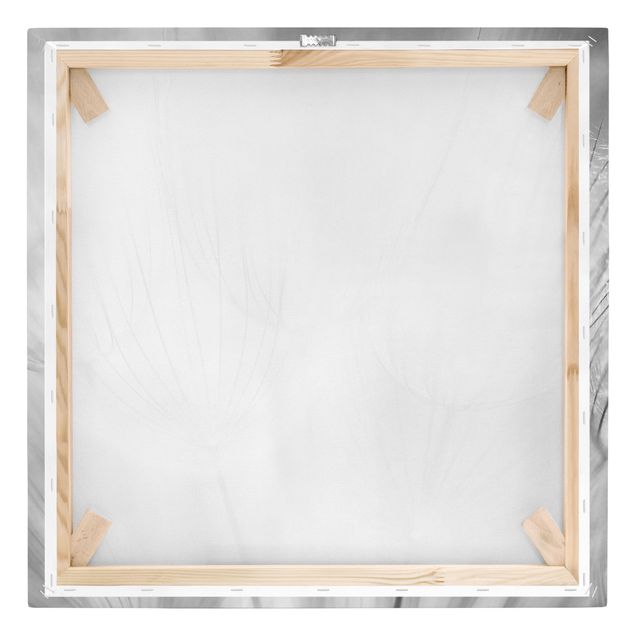 Leinwandbild- Pusteblumen Makroaufnahme in schwarz weiß - Quadrat 1:1