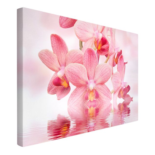 Leinwandbilder kaufen Rosa Orchideen auf Wasser