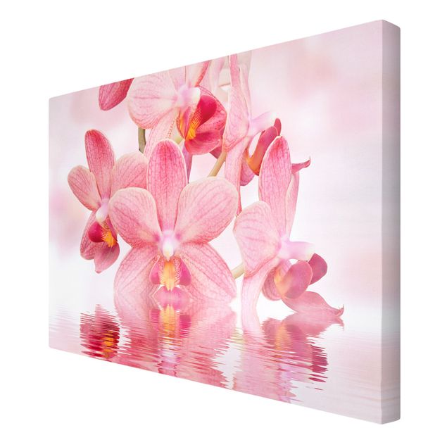 Leinwandbild - Rosa Orchideen auf Wasser - Quer 3:2