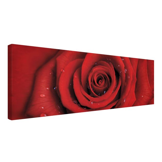 Leinwandbilder kaufen Rote Rose mit Wassertropfen