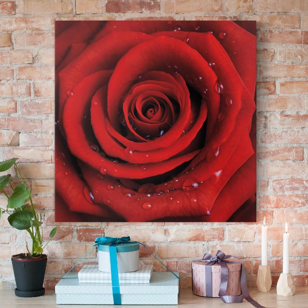 Rosen Bilder auf Leinwand Rote Rose mit Wassertropfen