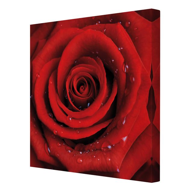 Leinwandbild - Rote Rose mit Wassertropfen - Quadrat 1:1