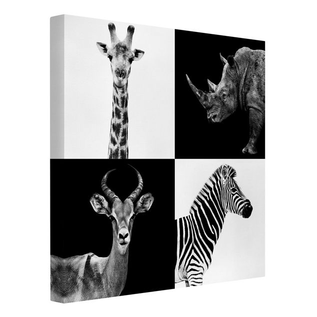 Leinwandbilder kaufen Safari Quartett