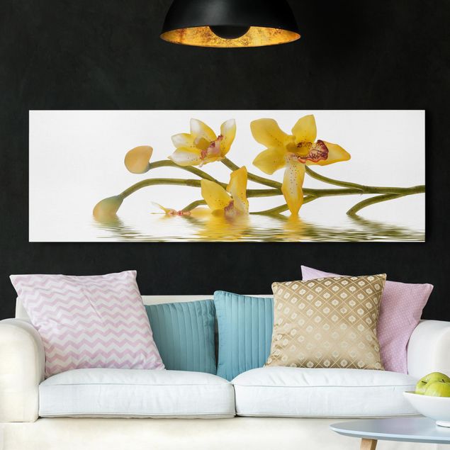 Leinwand Orchidee Saffron Orchid Waters