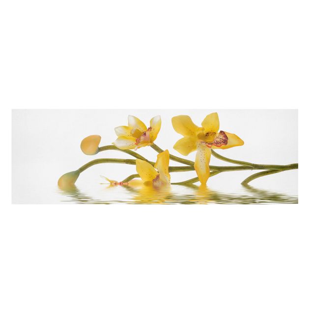Leinwandbild - Saffron Orchid Waters - Panorama Quer