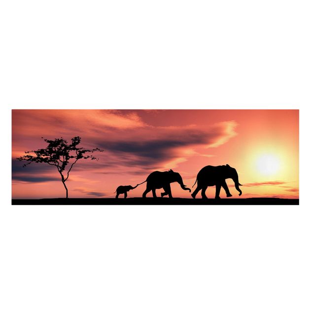 schöne Bilder Savannah Elefant Family