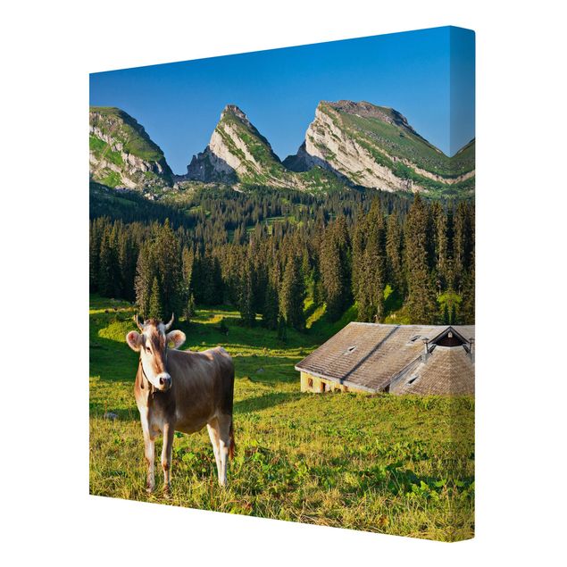 Leinwandbilder Schweizer Almwiese mit Kuh