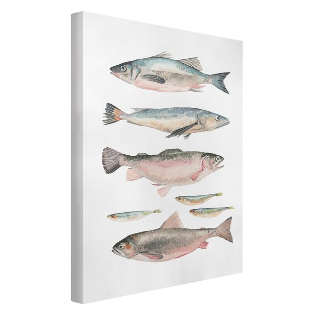 Leinwandbilder Sieben Fische in Aquarell I