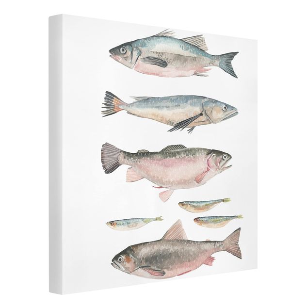schöne Leinwandbilder Sieben Fische in Aquarell I