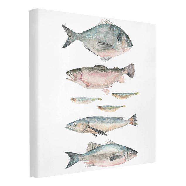 Leinwandbilder Sieben Fische in Aquarell II