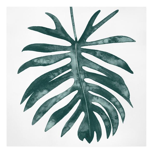 Leinwandbild - Smaragdgrüner Philodendron Angustisectum - Quadrat 1:1