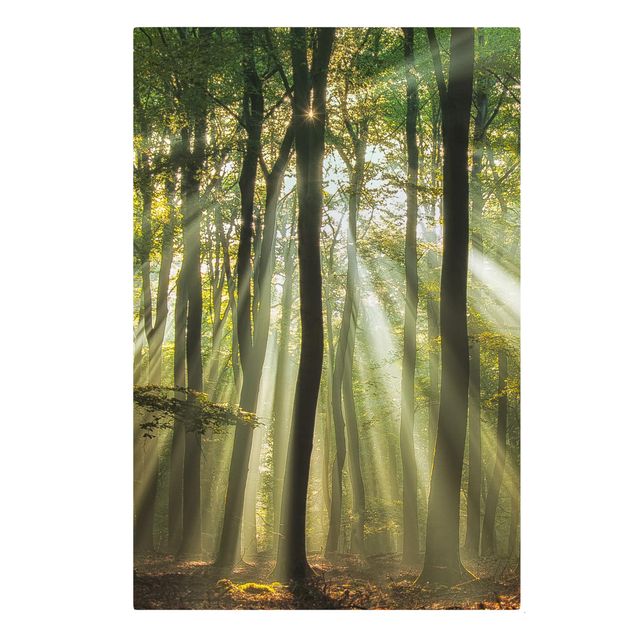 Leinwandbild - Sonnentag im Wald - Hoch 2:3