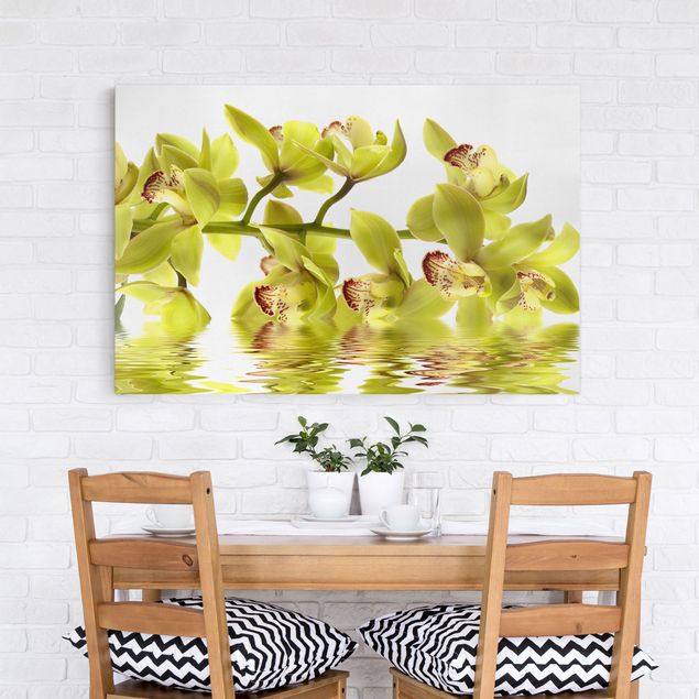 Blumenbilder auf Leinwand Splendid Orchid Waters