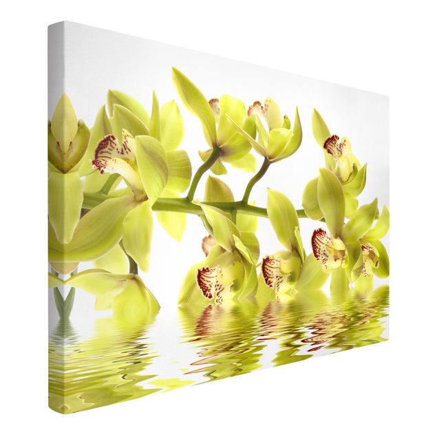 schöne Leinwandbilder Splendid Orchid Waters
