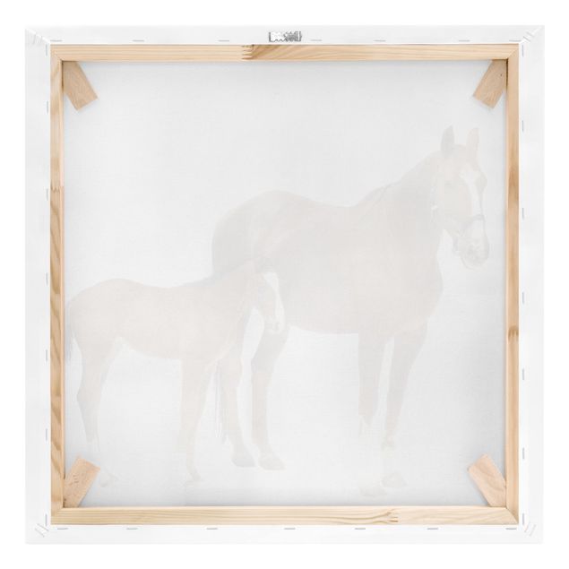 Pferde Leinwandbild - Stute & Fohlen - Quadrat 1:1