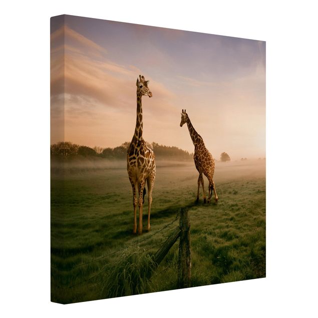 schöne Leinwandbilder Surreal Giraffes