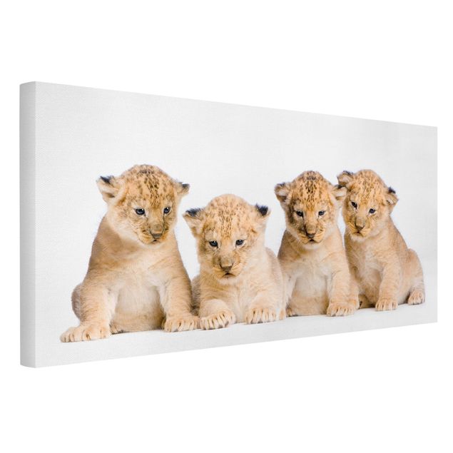Leinwandbilder kaufen Sweet Lion Babys