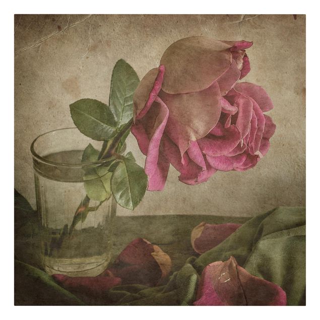 Leinwandbilder kaufen Tear of a Rose