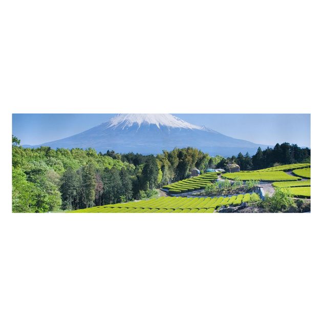 schöne Leinwandbilder Teefelder vor dem Fuji