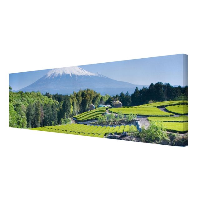 Leinwandbild - Teefelder vor dem Fuji - Panorama Quer