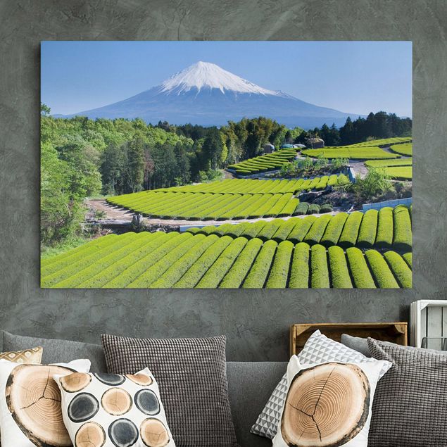Leinwandbilder Naturmotive Teefelder vor dem Fuji