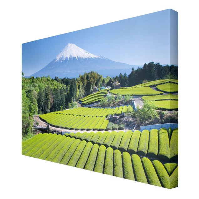 Leinwandbild - Teefelder vor dem Fuji - Quer 3:2