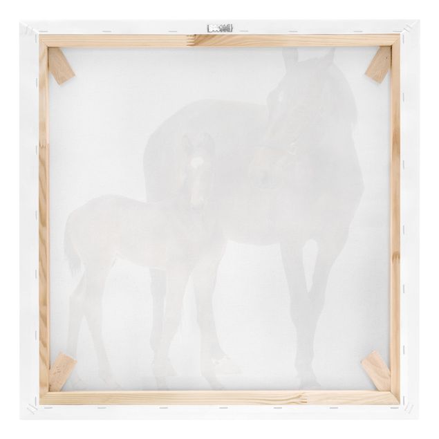 Leinwandbild Pferd - Trakehnerstute & Fohlen - Quadrat 1:1