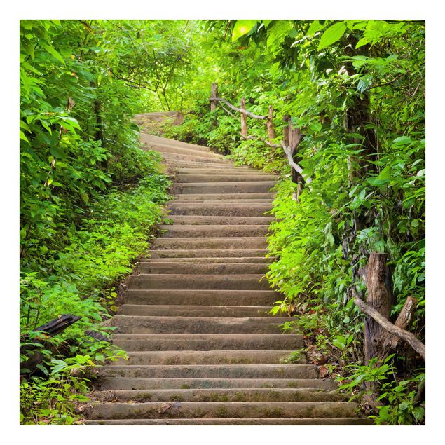 Leinwandbild - Treppenaufstieg im Wald - Quadrat 1:1