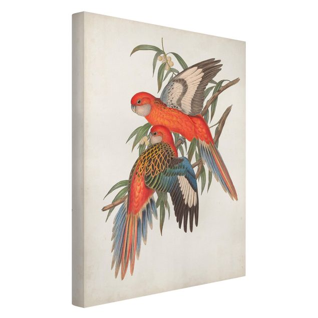 Vintage Leinwandbilder Tropische Papageien I