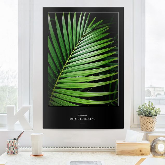Leinwandbilder Sprüche Tropisches Palmblatt
