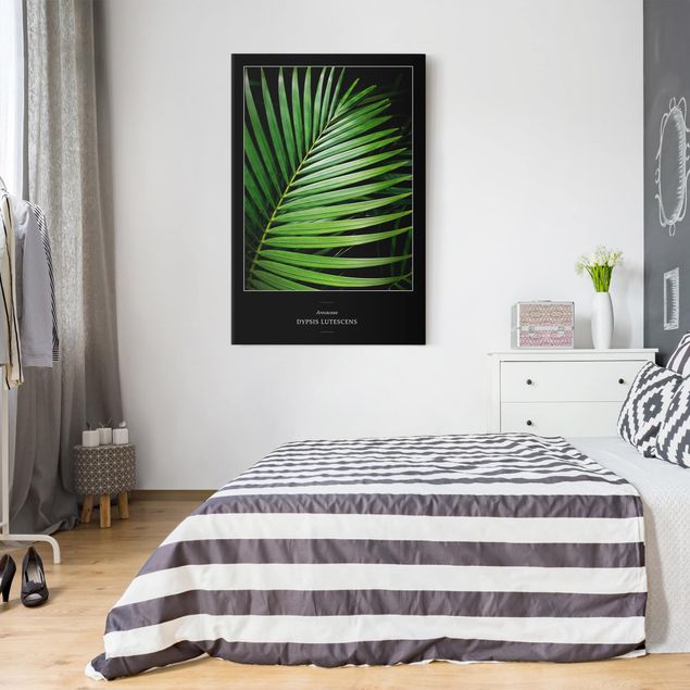 Wandbilder Tropisches Palmblatt