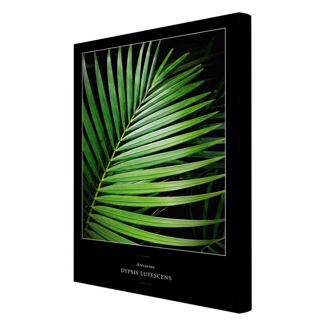 Leinwandbild - Tropisches Palmblatt - Hochformat 2:3