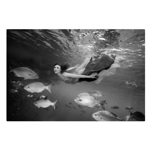 Leinwandbild Schwarz-Weiß - Underwater Beauty II - Quer 3:2