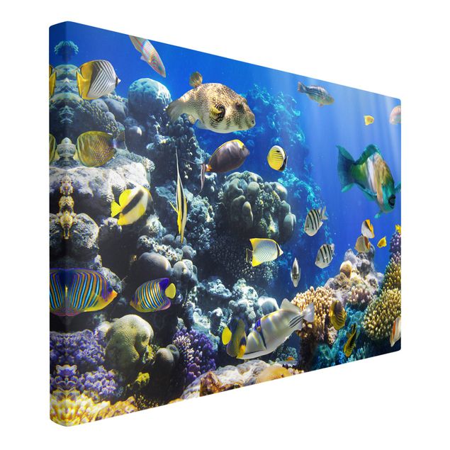 Wandbilder Underwater Reef