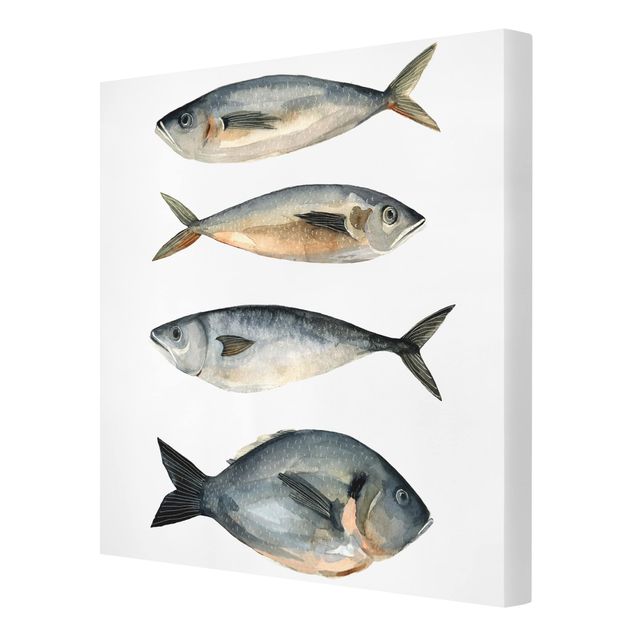 Leinwandbild - Vier Fische in Aquarell I - Quadrat 1:1