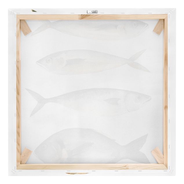 Leinwandbild - Vier Fische in Aquarell I - Quadrat 1:1